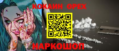 гидропоника Новозыбков