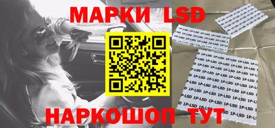 гидропоника Новозыбков