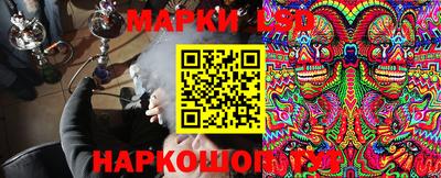 гидропоника Новозыбков