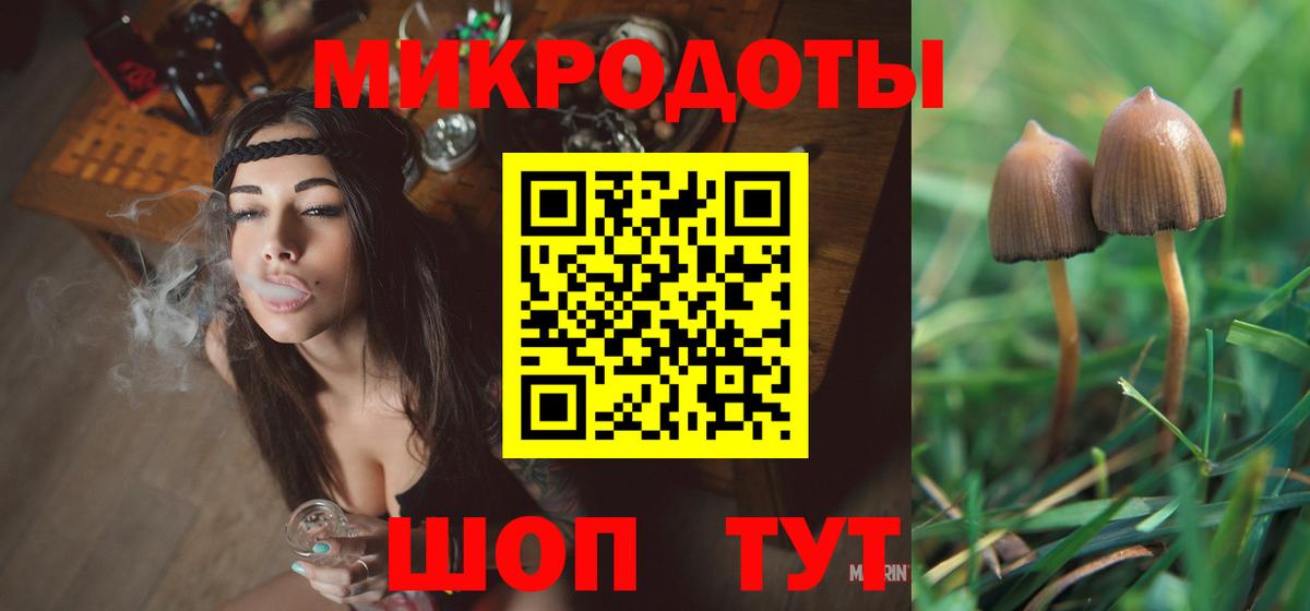 Ставрополь  Псилоцибиновые грибы прущие грибы  Галлюциногенные грибы Psilocybe  Вход с VPN 